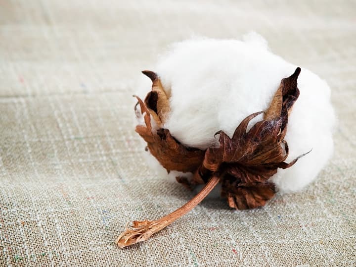 ویدیو تولید حوله تبلیغاتی ارس