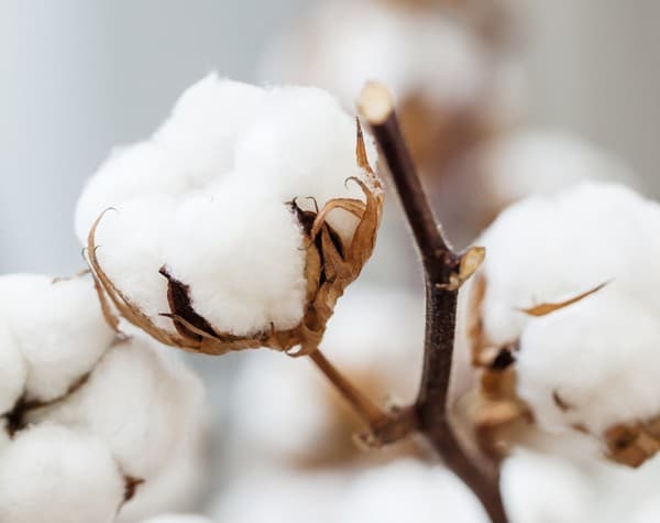 کارخانه حوله ارس - خط تولید