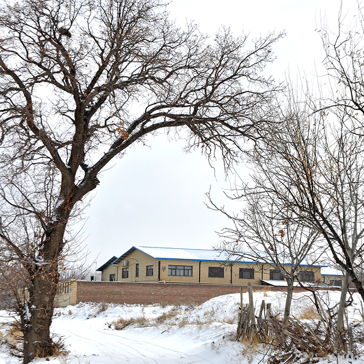 چرا ما در حوله ارس «رنگرزی ری‌اکتیو» را انتخاب کردیم؟